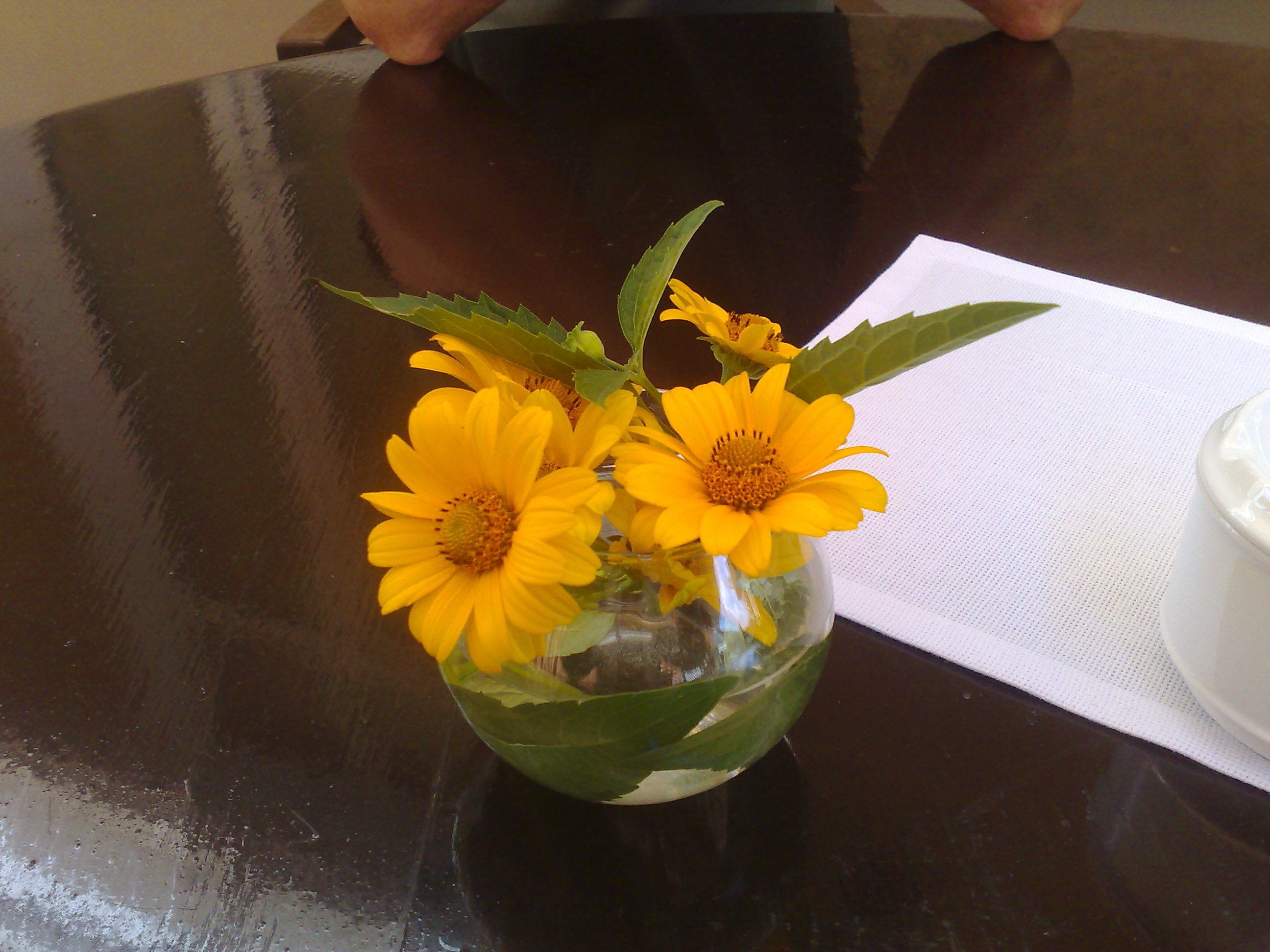 s22_a5502_090720111093.jpg
