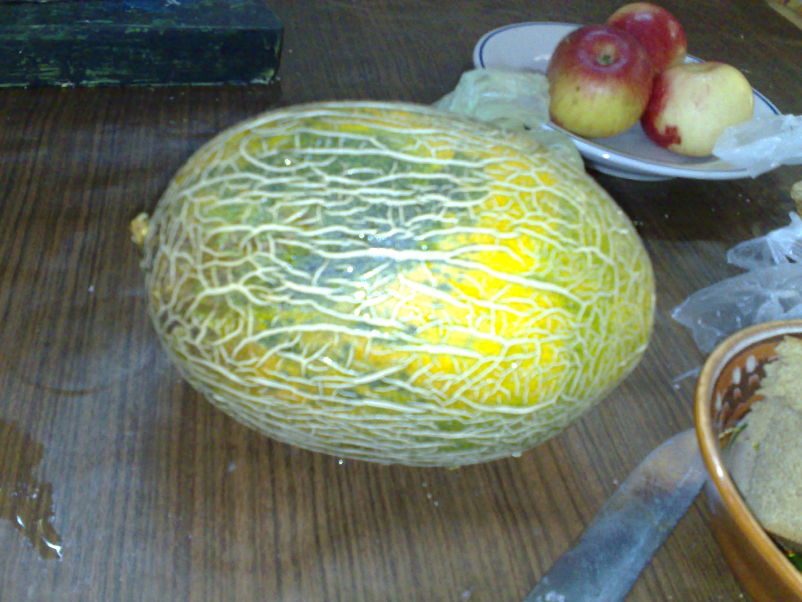 s22_a5509_04102009791.jpg