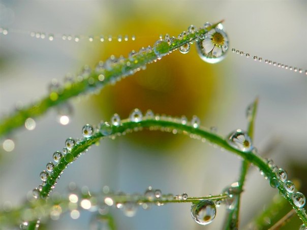 s22_a5847_i2neltyhbps.jpg