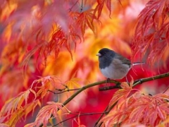 s22_a6605_bzqs2f8ieaaymxv.jpg